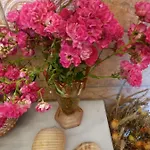 Holiday home Ioanneta - Close To Sea, Private Parking, Pet-friendly *