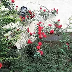 Ioanneta - Close To Sea, Private Parking, Pet-friendly Holiday home Achladi