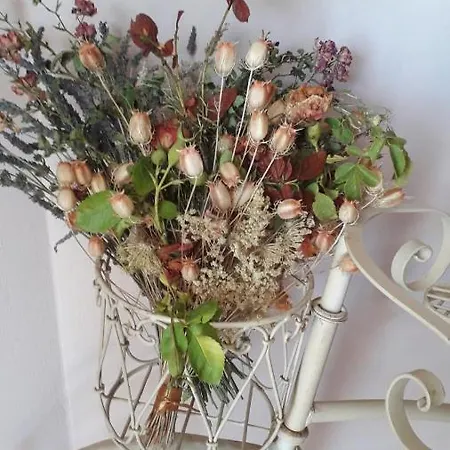 Ioanneta - Close To See, Private Parking, Pet-friendly Tatil Evi