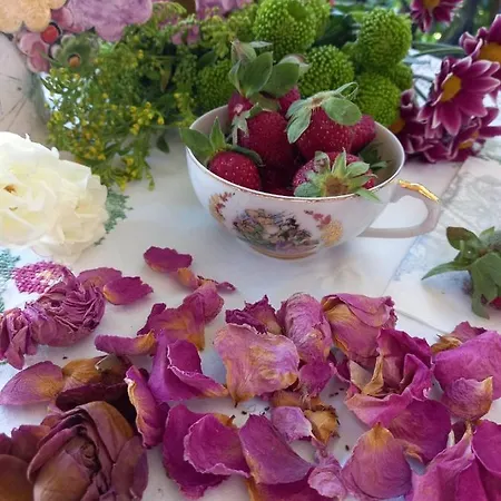 Ioanneta - Close To See, Private Parking, Pet-friendly Achladi