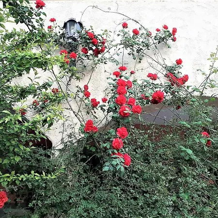 Ioanneta Holiday home Achladi